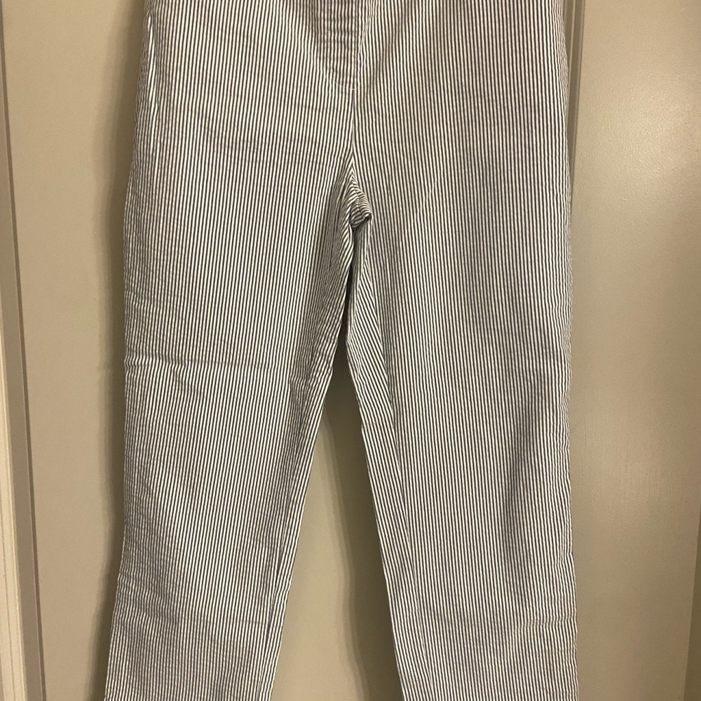 Hilary Radley Blue and White Striped Garment